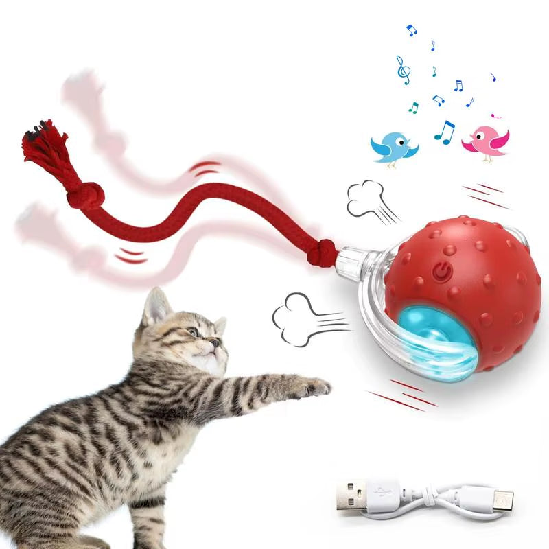 Cat & Dog Toy - Interactive USB Rechargeable Ball Toy on Rug , Anti-Depression Fun Gift for Cats & Dogs