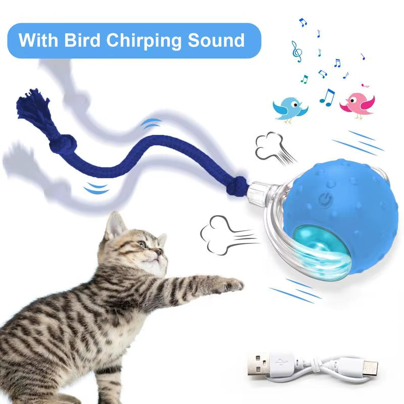 Cat & Dog Toy - Interactive USB Rechargeable Ball Toy on Rug , Anti-Depression Fun Gift for Cats & Dogs