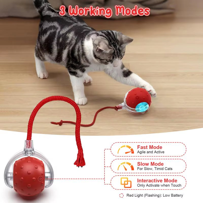 Cat & Dog Toy - Interactive USB Rechargeable Ball Toy on Rug , Anti-Depression Fun Gift for Cats & Dogs