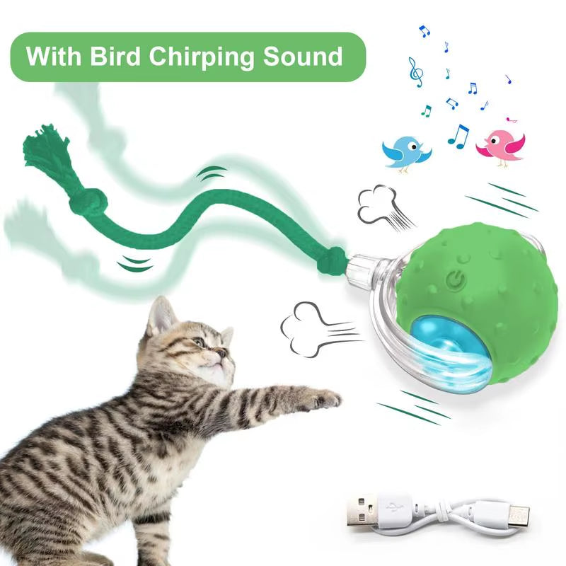 Cat & Dog Toy - Interactive USB Rechargeable Ball Toy on Rug , Anti-Depression Fun Gift for Cats & Dogs