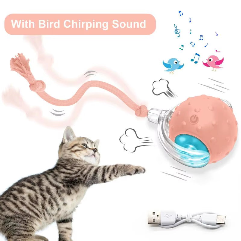 Cat & Dog Toy - Interactive USB Rechargeable Ball Toy on Rug , Anti-Depression Fun Gift for Cats & Dogs