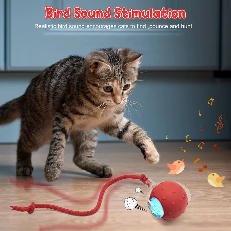 Cat & Dog Toy - Interactive USB Rechargeable Ball Toy on Rug , Anti-Depression Fun Gift for Cats & Dogs