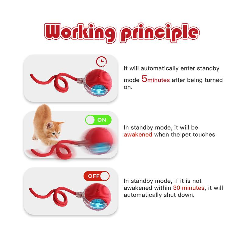 【Halloween Limited】 Mizusu Interactive Cat & Dog Teaser Toy with Two Additional Tails, Kitten Rolling Ball Toy, Pet Supplies, Dog & Cat Accessories Cute Dog Toys