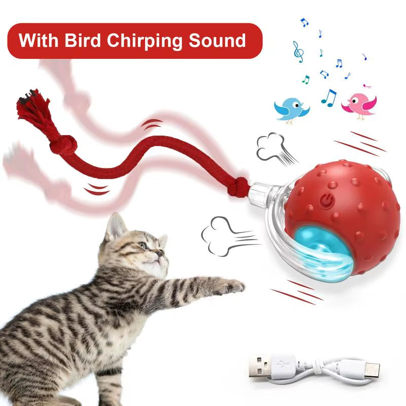 Cat & Dog Toy - Interactive USB Rechargeable Ball Toy on Rug , Anti-Depression Fun Gift for Cats & Dogs